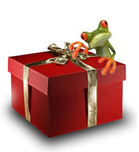Yoga EBook Geschenkt! Yoga EBook Geschenkt!
