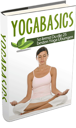2013_yogabasics_300