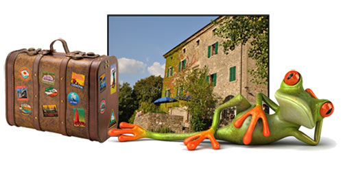 reisefrosch reisefrosch