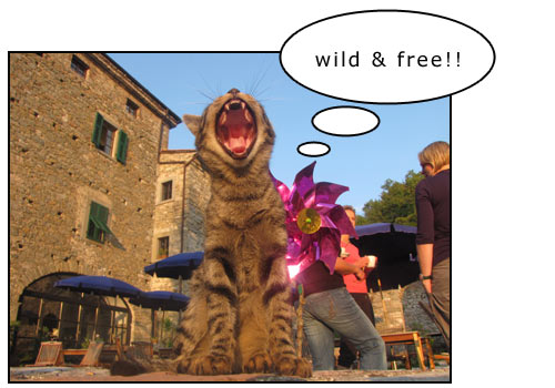 wild_free