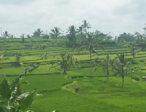 Auszeit Bali. Liebe Grüße von der Insel