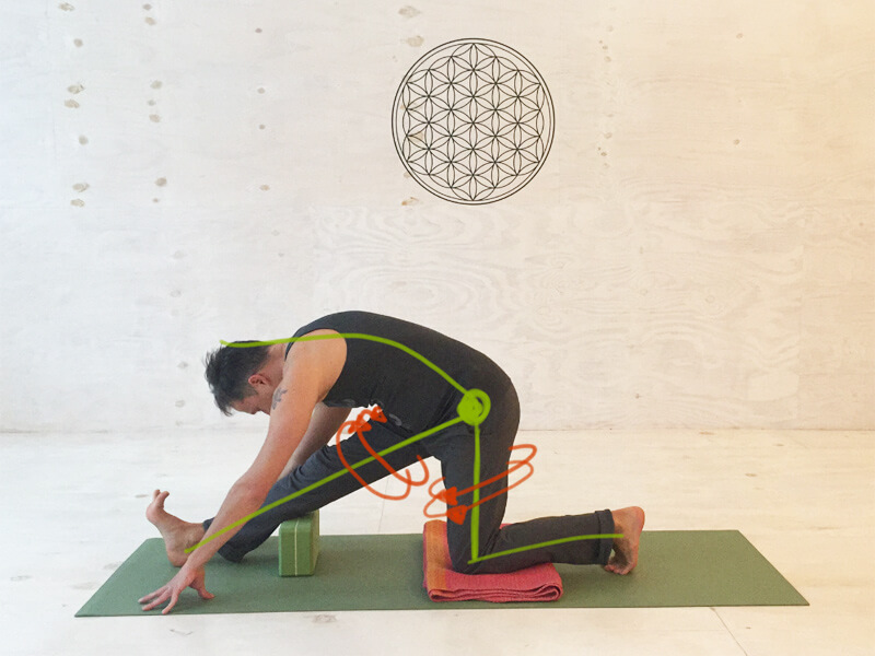 Yoga Übungen Hamstrings