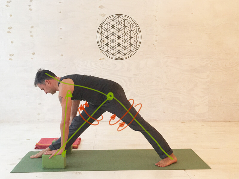 Yoga Übung Hamstrings mit Block