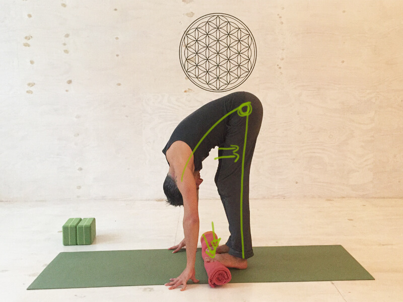 Yoga Übung Hamstrings