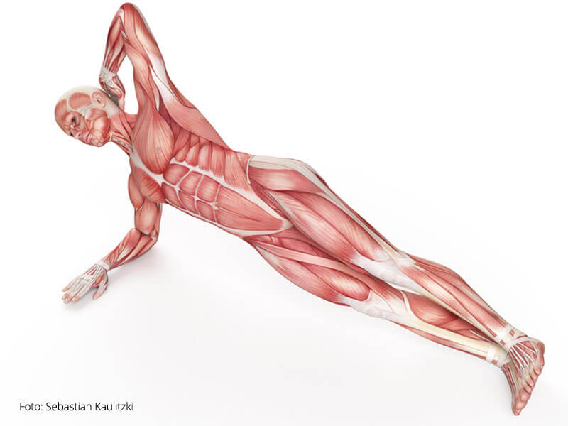 Yoga Übungen Bauchmuskeln