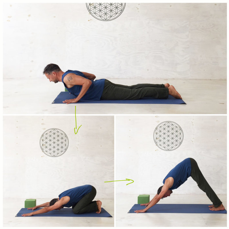 Yoga Sonnengruß - Anleitung für Yoga-Anfänger + PDF zum Ausdrucken