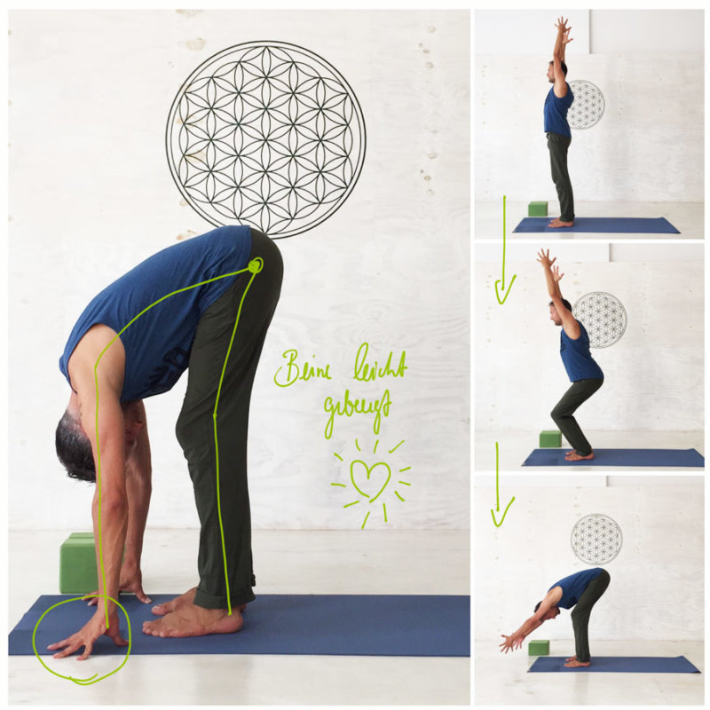 Yoga Sonnengruß - Anleitung für Yoga-Anfänger + PDF zum Ausdrucken