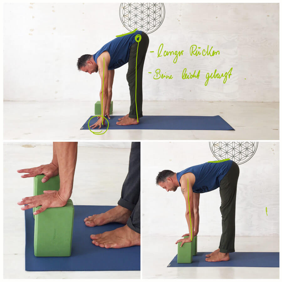 Yoga Sonnengruß für Yoga-Anfänger