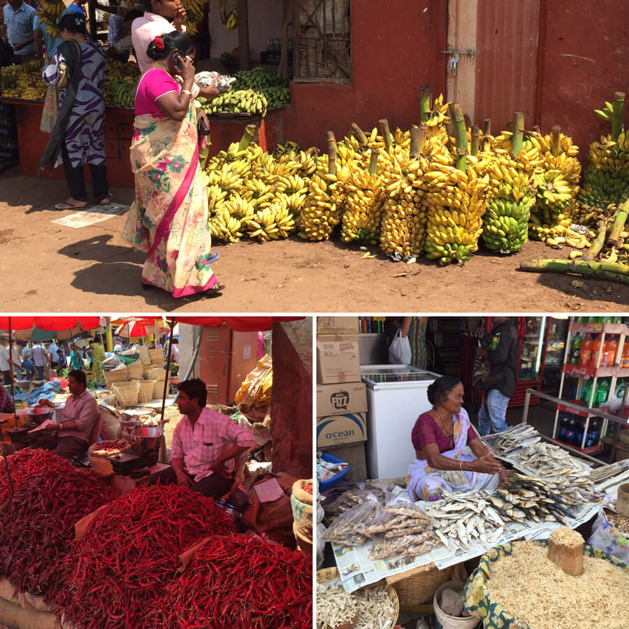 Goa Yoga Reise - Natur Markt