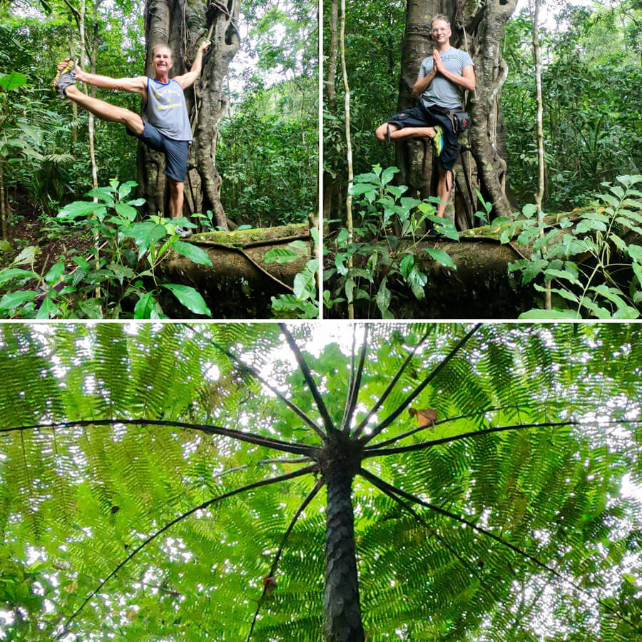 Bali Yogareise - Wanderung im Regenwald