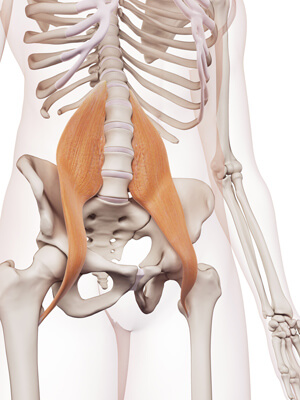 Psoas Muskel