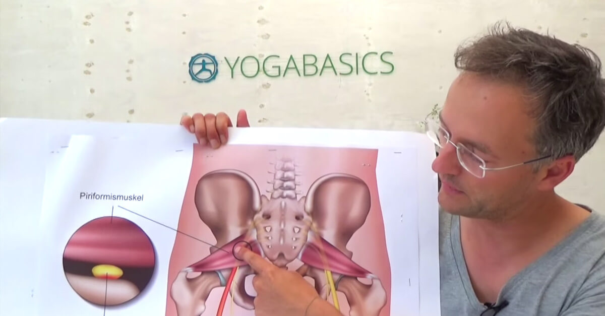 Yoga Anatomie Grundlagen lernen