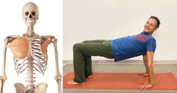 Pectoralis major dehnen - Yoga gegen Verspannungen Schultern Nacken