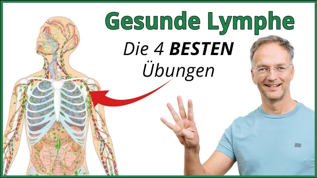 Silvio zeigt vier Finger neben einer anatomischen Darstellung des Lymphsystems und dem Schriftzug Gesunde Lymphe.